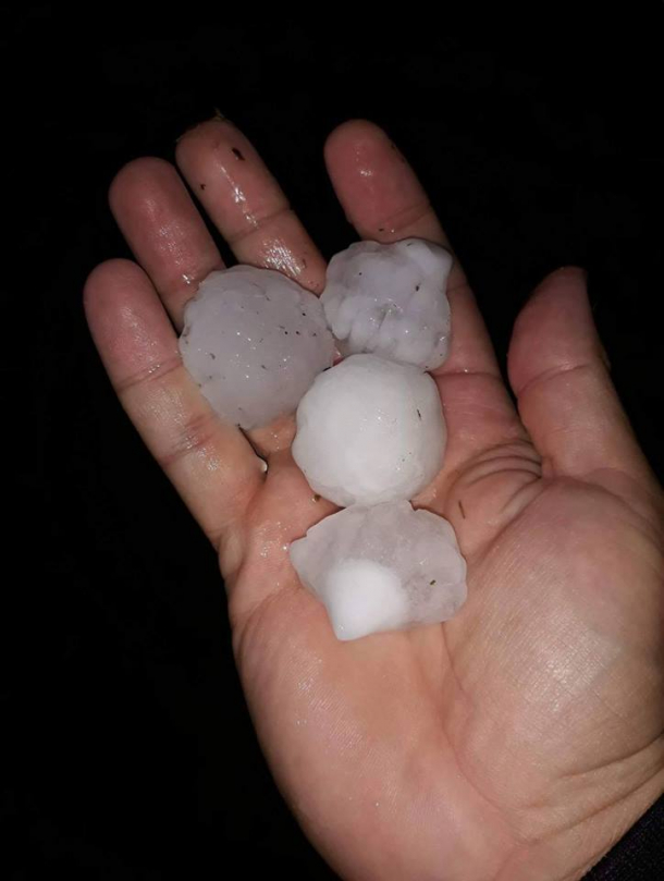 Filipeștii de Pădure