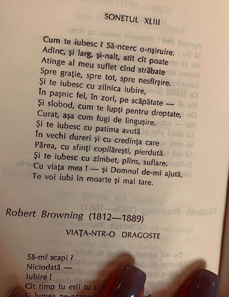 sonet publicat de Irina Tănase de ziua lui Liviu Dragnea