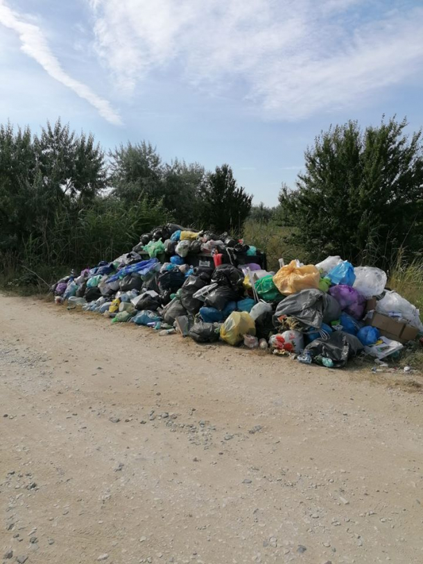 Mizewrie de nedescris pe plajele sălbatice