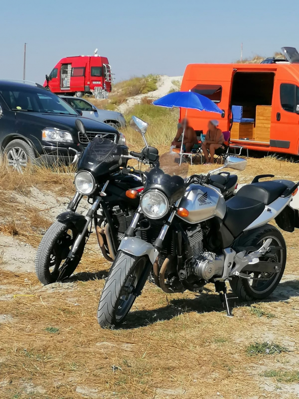 Respectarea regulilor aplicabile într-o arie naturală protejată continuă să fie o problemă. Acțiuni de control pe plajele sălbatice