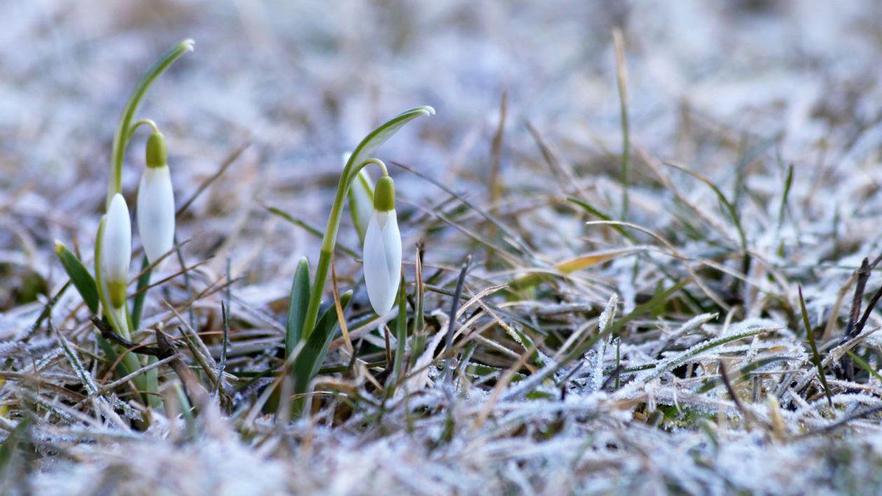 Prognoza meteo pentru următoarele patru săptămâni. Un val rece cuprinde România