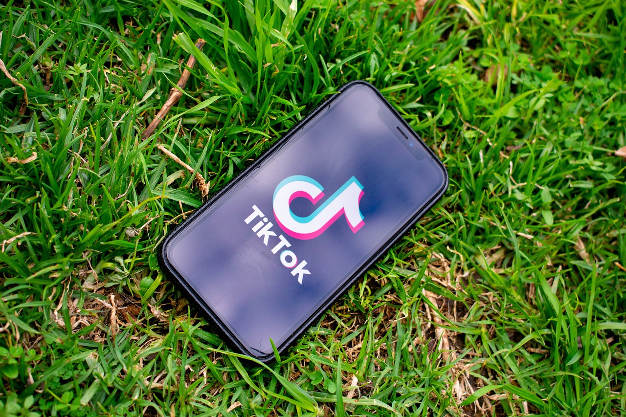 Țara în care TikTok-ul a fost complet interzis. Motivul pentru care autoritățile au luat această decizie