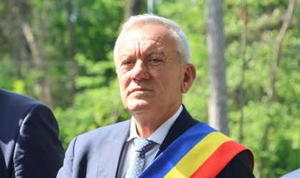 viitorul premier